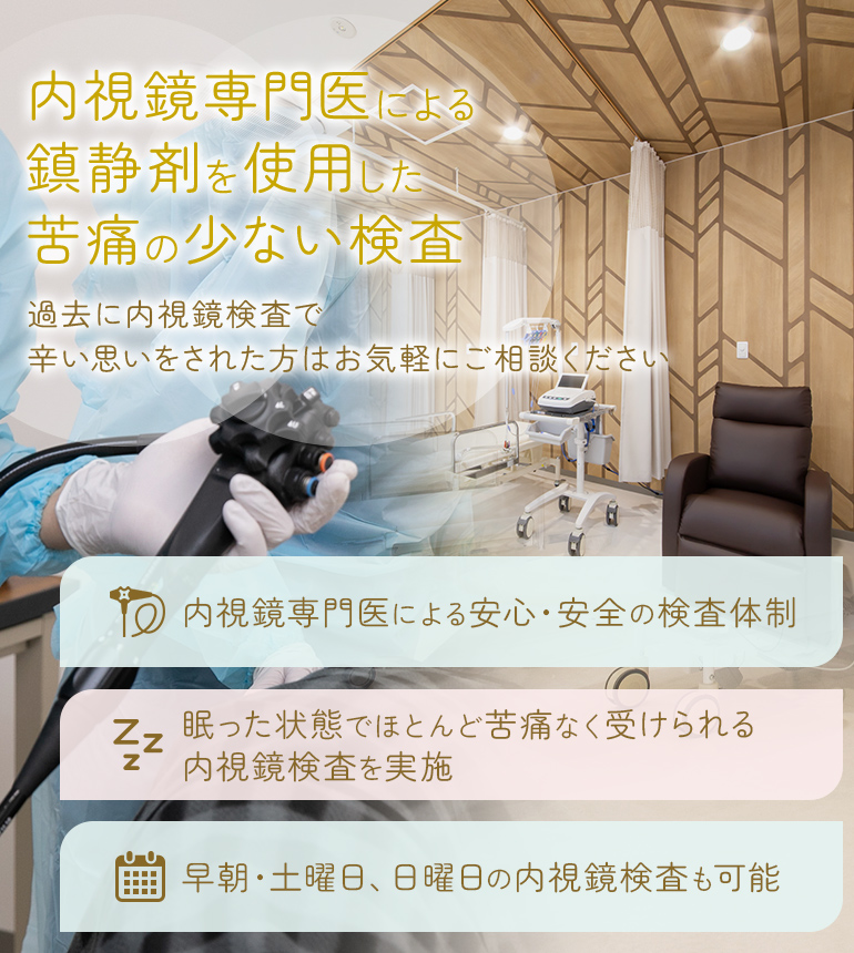 内視鏡専門医による鎮静剤を 使用した苦痛の少ない検査 ～過去に内視鏡検査で辛い思いをされた方はお気軽にご相談ください～